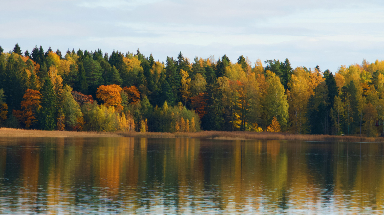 découvrez la finlande, pays scandinave réputé pour ses aurores boréales, ses vastes forêts et ses lacs cristallins.