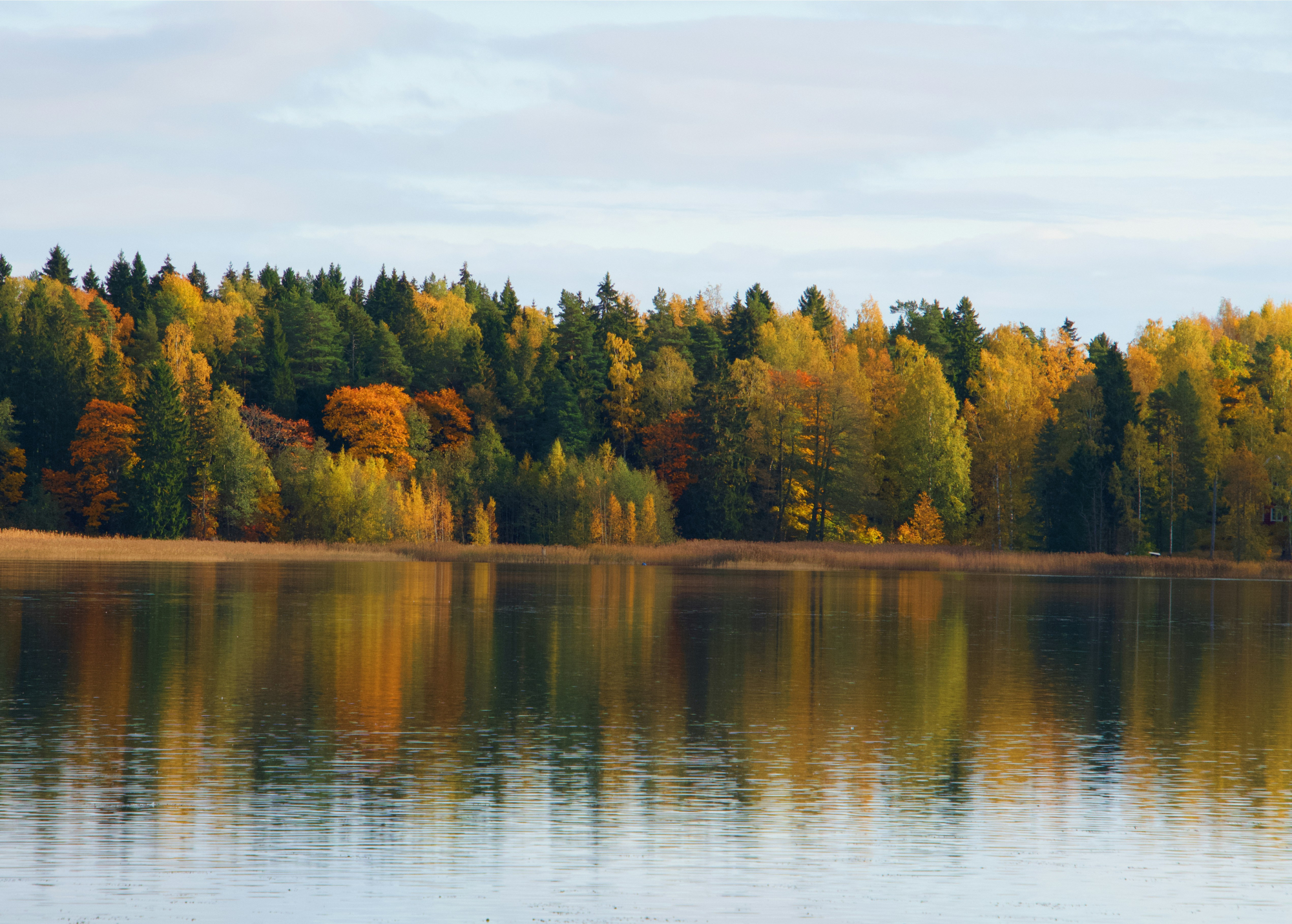 découvrez la finlande, pays scandinave réputé pour ses aurores boréales, ses vastes forêts et ses lacs cristallins.