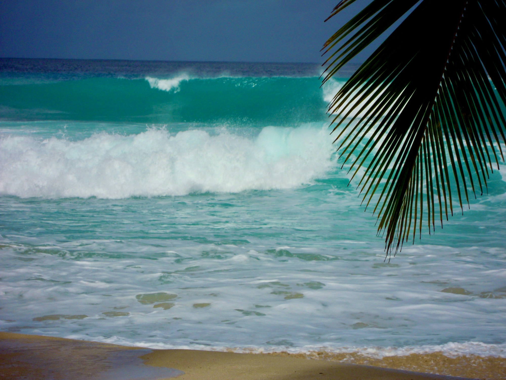 découvrez un road trip inoubliable à la barbade avec ses plages de sable fin, ses paysages magnifiques et sa culture vibrante. réservez dès maintenant votre aventure caribéenne.