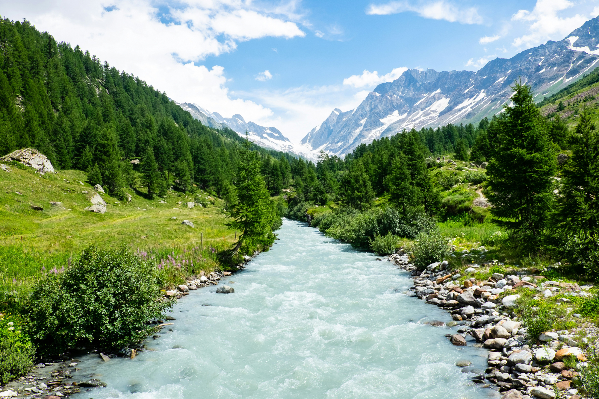 découvrez la beauté naturelle et la richesse culturelle de la suisse, un pays renommé pour ses paysages époustouflants, ses montagnes majestueuses, ses lacs cristallins et ses villes pittoresques.
