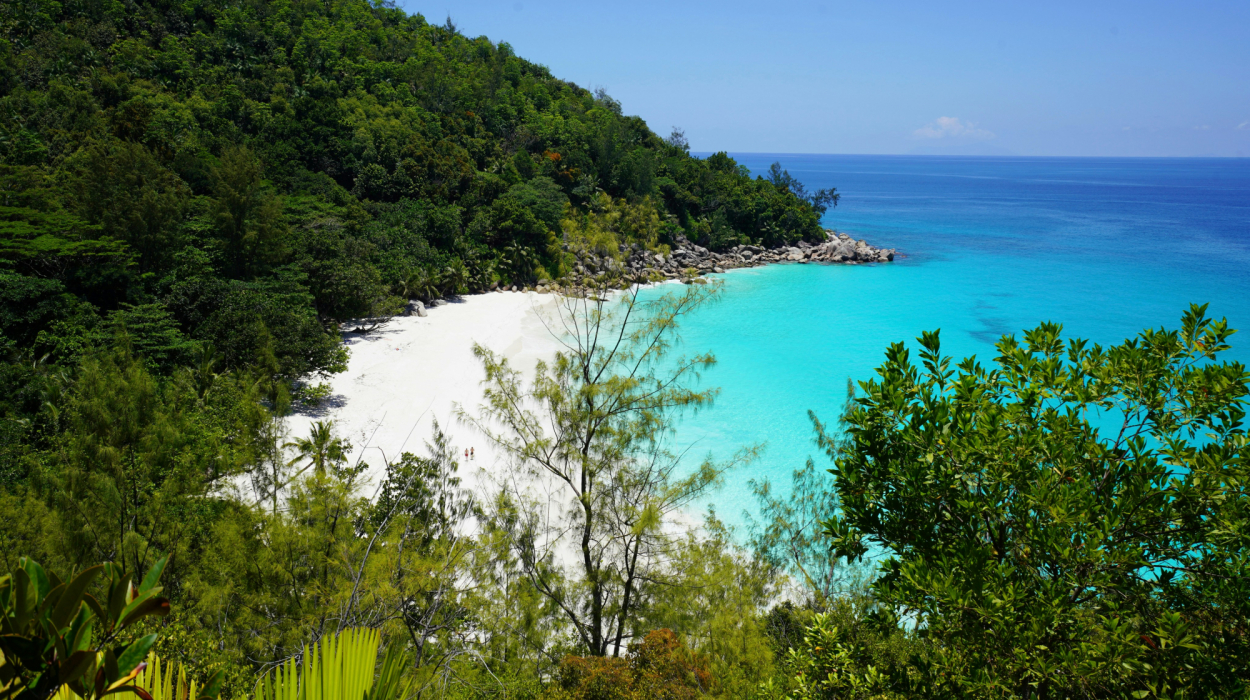 découvrez les seychelles, une destination de voyage paradisiaque aux plages de sable fin, eaux turquoise et une nature préservée, idéale pour des vacances inoubliables.